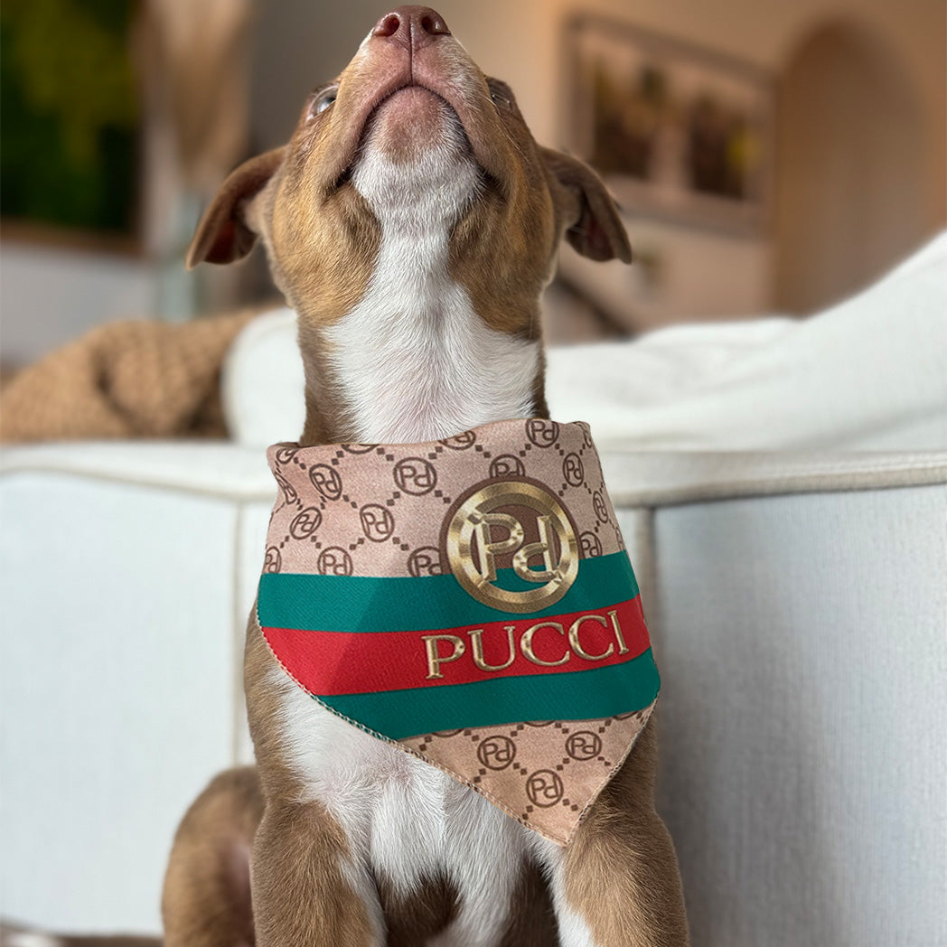 Luxury dog bandana fas