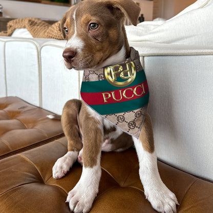 Luxury dog bandana fas